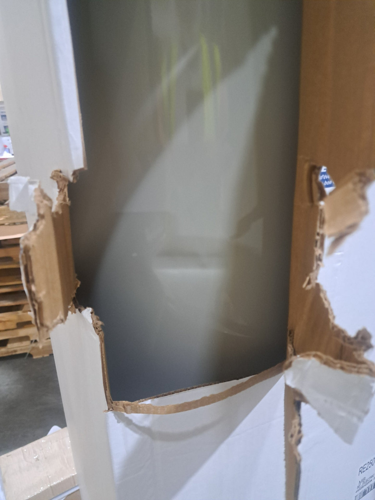 Bradford White 50 Gallon Electric Water Heater (Tall)(RE250T6)